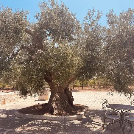 Dimora San Michele Pensionat Castellana Grotte