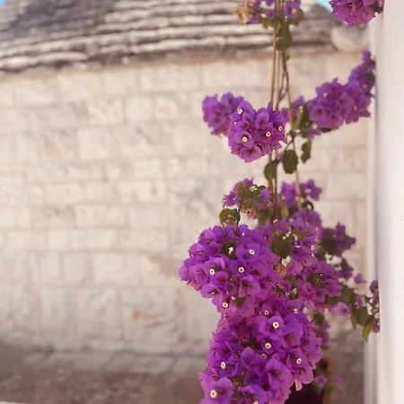 Dimora San Michele 4*